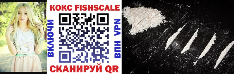 Cocaine FishScale  Купить где  Куровское 