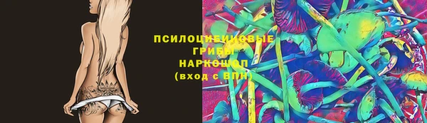 прущие грибы Алексин
