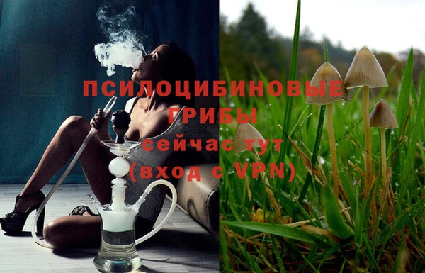 первитин Алексеевка