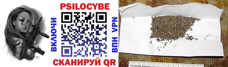 Купить где  Куровское  Галлюциногенные грибы Cubensis 